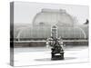 Palm House in Kew Gardens in Winter-Charles Bowman-Stretched Canvas