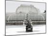 Palm House in Kew Gardens in Winter-Charles Bowman-Mounted Photographic Print