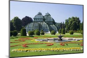 Palm House in the palace garden of Schoenbrunn Palace, Vienna, Austria-null-Mounted Art Print
