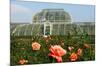 Palm house in the Royal Botanic Gardens, Kew, London, South of England, Great Britain-null-Mounted Art Print