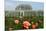 Palm house in the Royal Botanic Gardens, Kew, London, South of England, Great Britain-null-Mounted Art Print