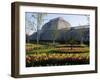 Palm House, Royal Botanic Gardens, Kew, Surrey-Ethel Davies-Framed Photographic Print