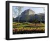 Palm House, Royal Botanic Gardens, Kew, Surrey-Ethel Davies-Framed Photographic Print