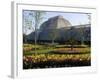 Palm House, Royal Botanic Gardens, Kew, Surrey-Ethel Davies-Framed Photographic Print