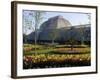 Palm House, Royal Botanic Gardens, Kew, Surrey-Ethel Davies-Framed Photographic Print