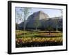 Palm House, Royal Botanic Gardens, Kew, Surrey-Ethel Davies-Framed Photographic Print