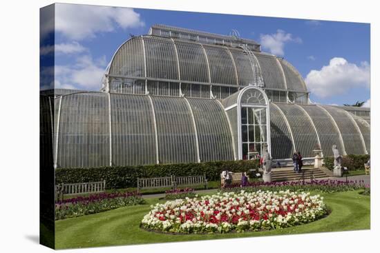 Palm House, Royal Botanic Gardens, Kew-Rolf Richardson-Stretched Canvas