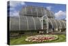 Palm House, Royal Botanic Gardens, Kew-Rolf Richardson-Stretched Canvas