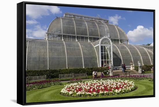 Palm House, Royal Botanic Gardens, Kew-Rolf Richardson-Framed Stretched Canvas