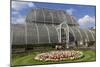 Palm House, Royal Botanic Gardens, Kew-Rolf Richardson-Mounted Photographic Print