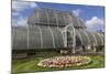 Palm House, Royal Botanic Gardens, Kew-Rolf Richardson-Mounted Photographic Print