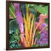 Palm Impressions 03-Rick Novak-Framed Art Print