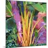 Palm Impressions 03-Rick Novak-Mounted Art Print