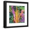 Palm Impressions 03-Rick Novak-Framed Art Print