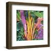 Palm Impressions 03-Rick Novak-Framed Art Print