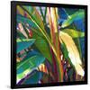 Palm Impressions 08-Rick Novak-Framed Premium Giclee Print