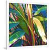 Palm Impressions 08-Rick Novak-Framed Premium Giclee Print