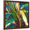 Palm Impressions 08-Rick Novak-Framed Premium Giclee Print