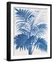 Palm Imprint I-The Vintage Collection-Framed Giclee Print