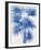 Palm Imprint II-The Vintage Collection-Framed Giclee Print