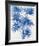 Palm Imprint II-The Vintage Collection-Framed Giclee Print