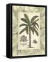 Palm in Bamboo Frame II-null-Framed Stretched Canvas