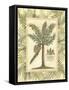 Palm in Bamboo I-Vision Studio-Framed Stretched Canvas