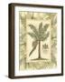 Palm in Bamboo I-Vision Studio-Framed Art Print