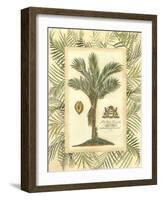 Palm in Bamboo IV-Vision Studio-Framed Art Print