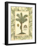 Palm in Bamboo IV-Vision Studio-Framed Art Print