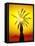 Palm in Desert Mountains at the Sunset-Givaga-Framed Stretched Canvas