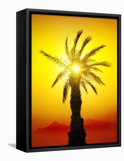 Palm in Desert Mountains at the Sunset-Givaga-Framed Stretched Canvas