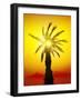 Palm in Desert Mountains at the Sunset-Givaga-Framed Photographic Print