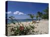 Palm Island, Near Young Island, the Grenadines, Windward Islands-Fraser Hall-Stretched Canvas