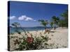 Palm Island, Near Young Island, the Grenadines, Windward Islands-Fraser Hall-Stretched Canvas