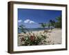 Palm Island, Near Young Island, the Grenadines, Windward Islands-Fraser Hall-Framed Photographic Print