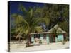 Palm Island, the Grenadines, Windward Islands, West Indies, Caribbean, Central America-Fraser Hall-Stretched Canvas