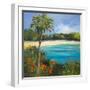 Palm Isle-Jane Slivka-Framed Art Print