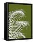 Palm Leaf 1, White On Green-Fab Funky-Framed Stretched Canvas