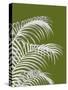 Palm Leaf 1, White On Green-Fab Funky-Stretched Canvas