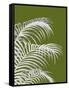 Palm Leaf 1, White On Green-Fab Funky-Framed Stretched Canvas