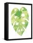 Palm Leaf 2-Summer Tali Hilty-Framed Stretched Canvas