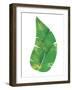 Palm Leaf 6-Summer Tali Hilty-Framed Giclee Print