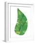 Palm Leaf 6-Summer Tali Hilty-Framed Giclee Print