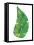 Palm Leaf 6-Summer Tali Hilty-Framed Stretched Canvas