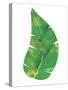 Palm Leaf 6-Summer Tali Hilty-Stretched Canvas