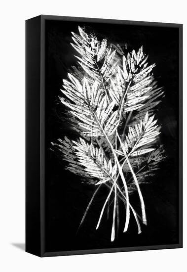 Palm Leaf Fresco II-Vision Studio-Framed Stretched Canvas