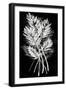 Palm Leaf Fresco II-Vision Studio-Framed Art Print