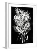 Palm Leaf Fresco II-Vision Studio-Framed Art Print