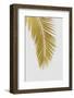 Palm Leaf Gold I-Orara Studio-Framed Photographic Print